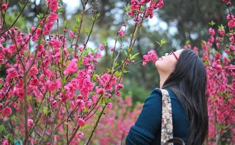 桃花位置|什么是桃花运？如何找出自己的桃花位？怎样助旺自己的桃花位？